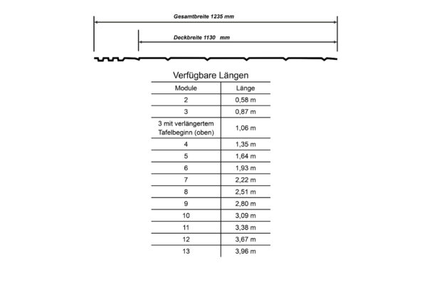 Biberschwanz Querschnitt